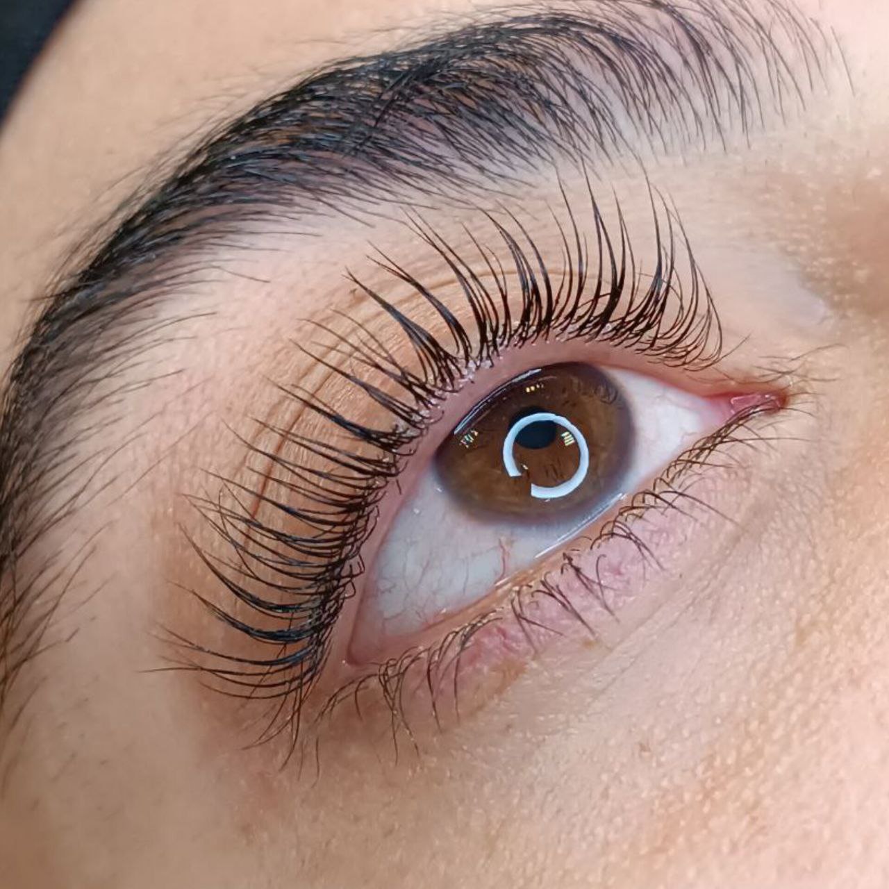 آموزش لیفت و لمینیت مژه بدون چسب و بیگودی